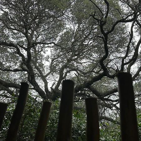 Lebombo Wattle Cottages Hluhluwe Eksteriør bilde