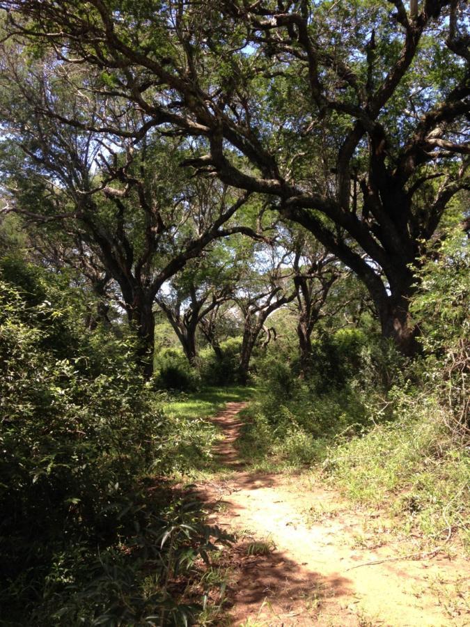 Lebombo Wattle Cottages Hluhluwe Eksteriør bilde