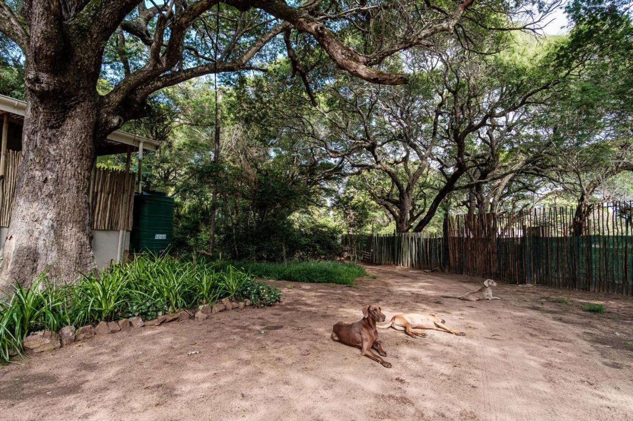 Lebombo Wattle Cottages Hluhluwe Eksteriør bilde