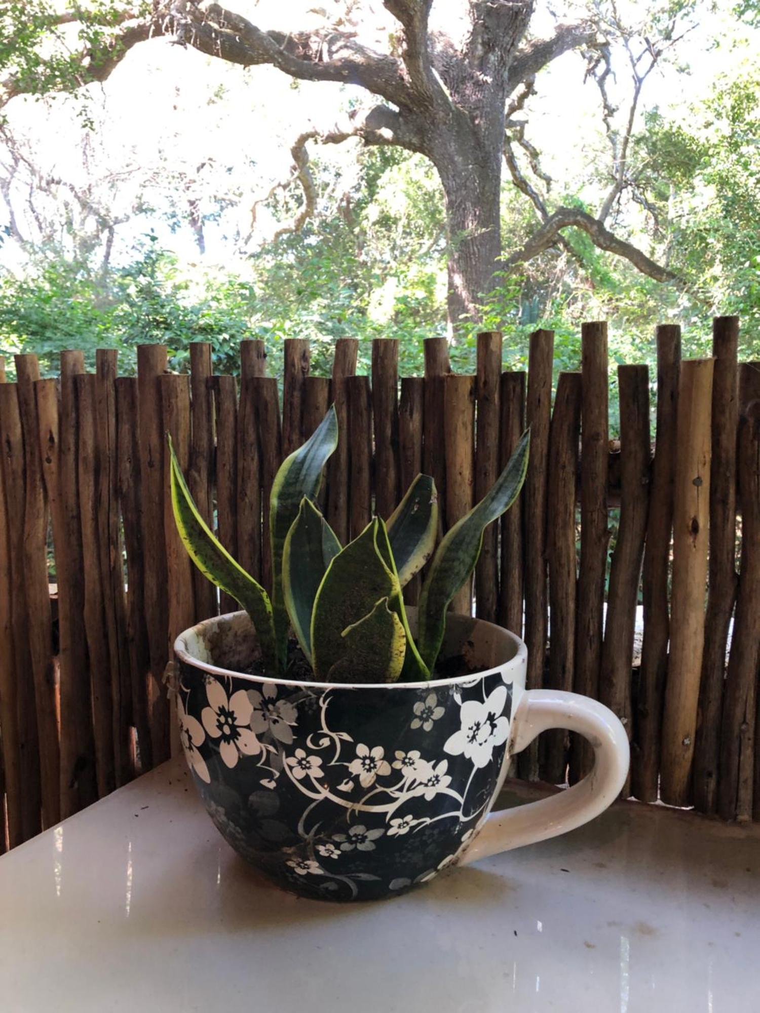 Lebombo Wattle Cottages Hluhluwe Eksteriør bilde