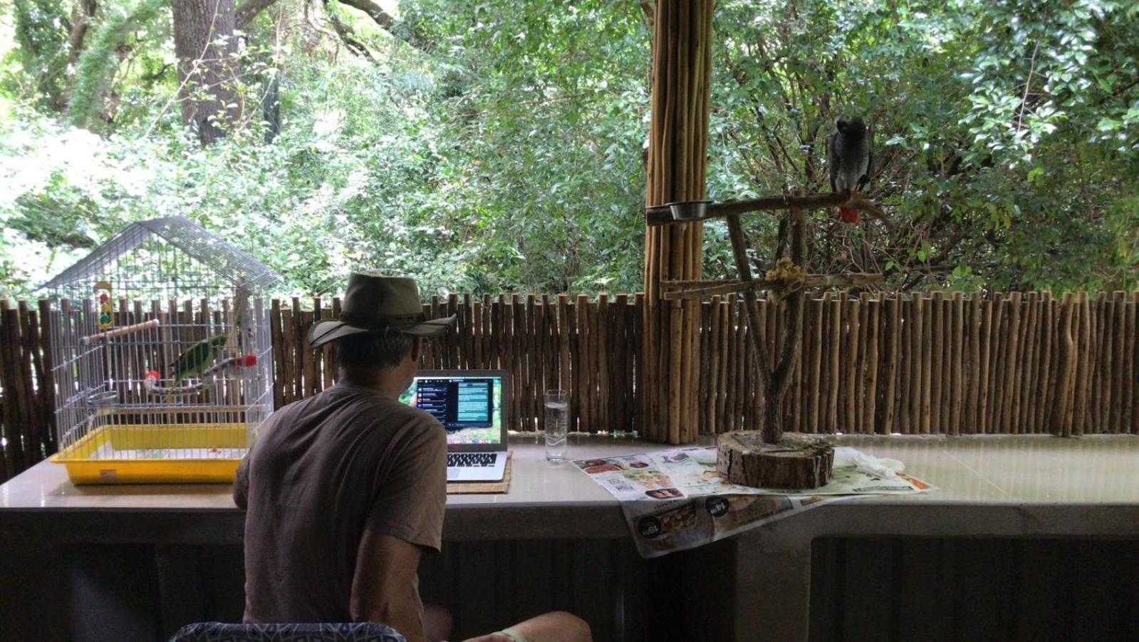 Lebombo Wattle Cottages Hluhluwe Eksteriør bilde